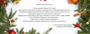 С наступающим Новым 2025 годом!