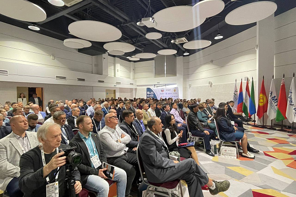 Международные конференции