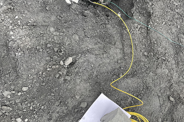 Экспертиза