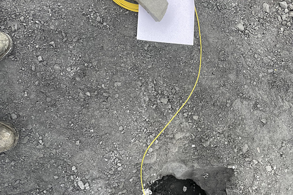 Экспертиза